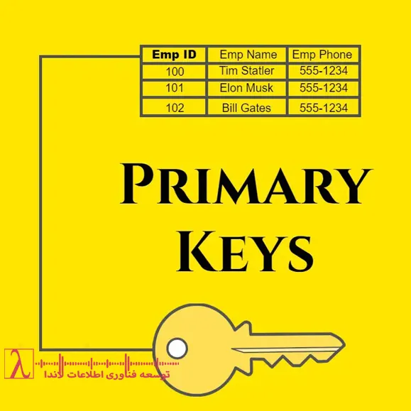کلید اصلی Primary Key دیتابیس SQL Server INFORMATION SCHEMA sys objects متادیتا Constraint
